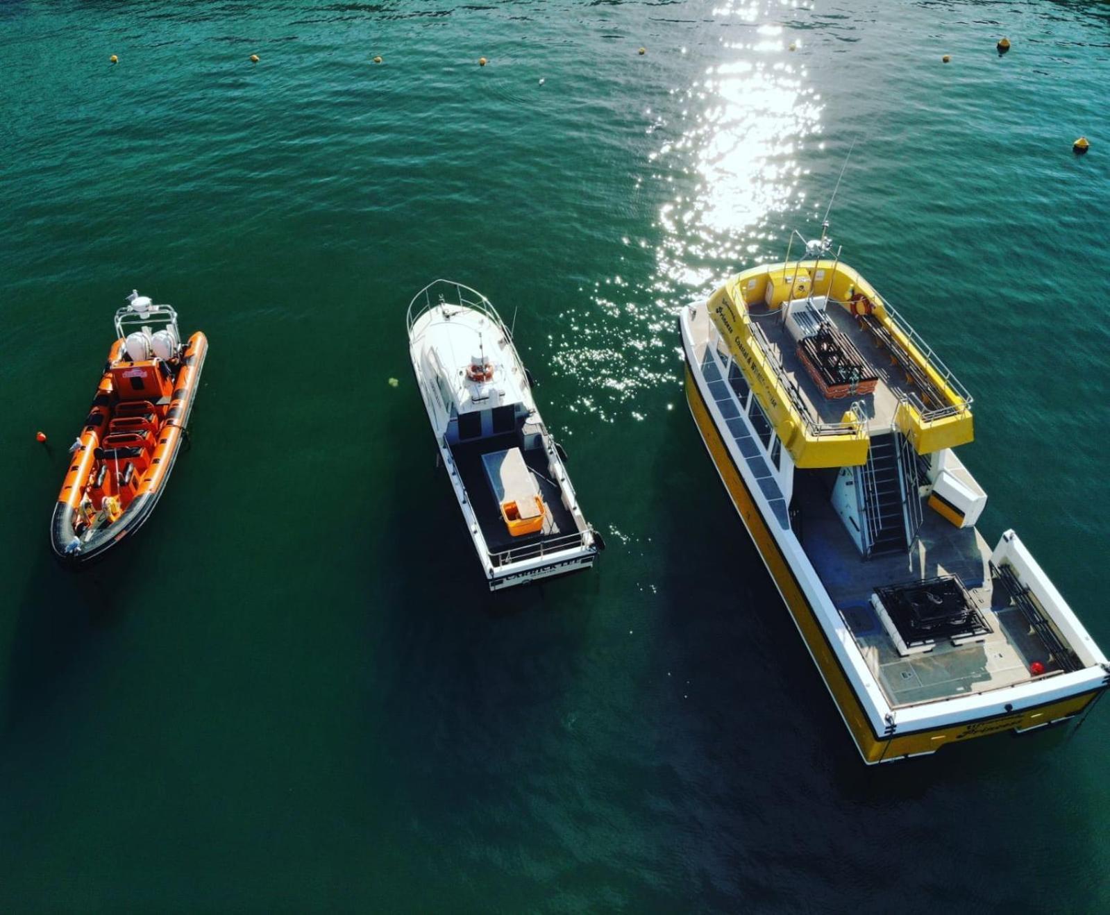 مبيت وإفطار إلفراكومبْ The Harbour Lights المظهر الخارجي الصورة